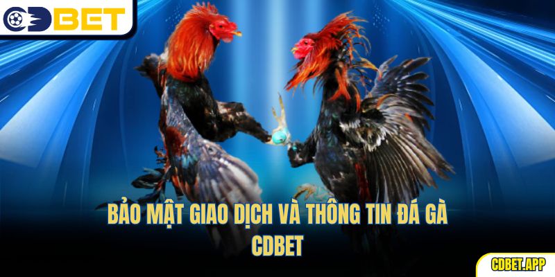 Bảo mật giao dịch và thông tin đá gà CDBet