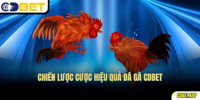 Chiến lược cược hiệu quả đá gà CDBet