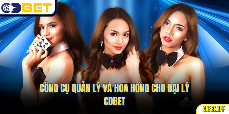 Công cụ quản lý và hoa hồng cho đại lý CDBet